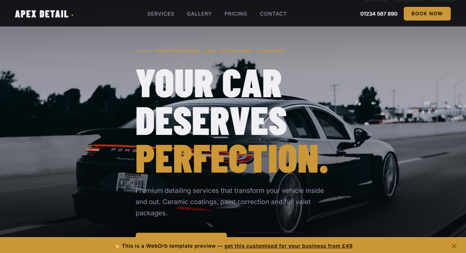 Car Detailing template preview